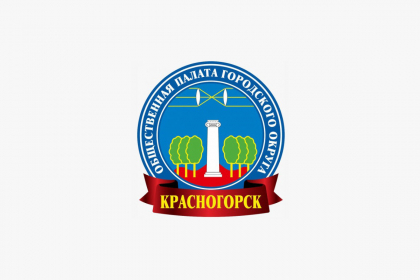 Члены общественной палаты передали новогодние подарки в ковидный центр
