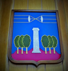 У Красногорска может появиться новый герб