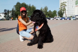 Выставку‑раздачу животных «Твой друг» 2 сентября провели в Красногорске